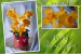 Žlutá orchidej- drátkované květy